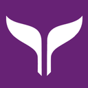 flyYe logo